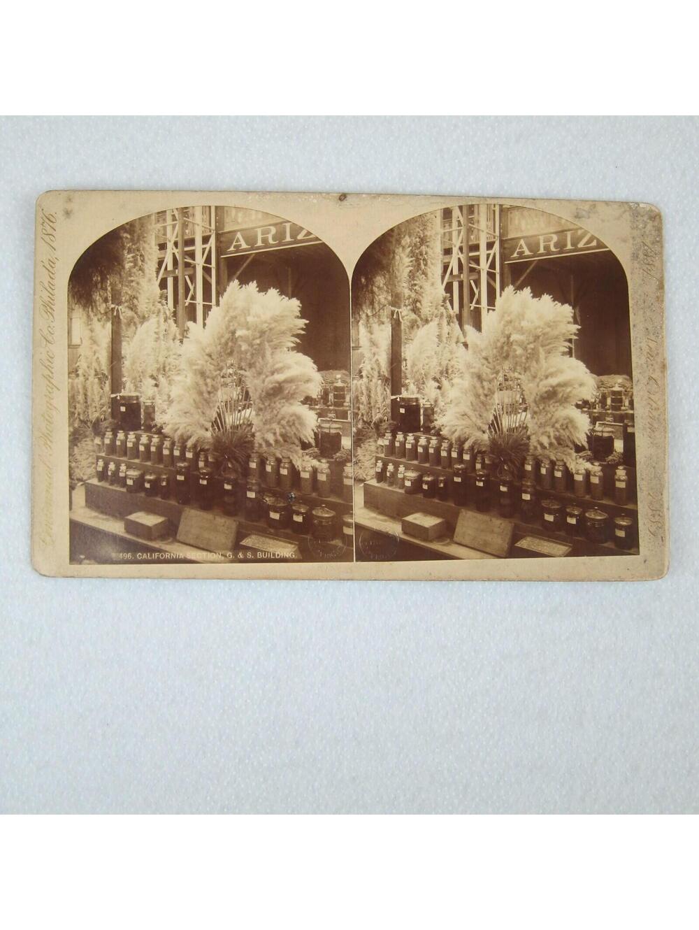 Antique 1884-1885 New Orleans Exposition Stereoview #496 California Section RARE